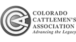 CCA-Logo