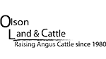 Olson-Land-Logo