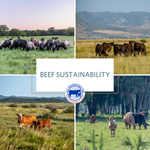 beef-sustainability-defined-1.png