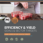 efficieny-and-yield-beef-industry-goal-1.png