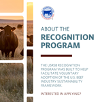 recognition-program-1.png